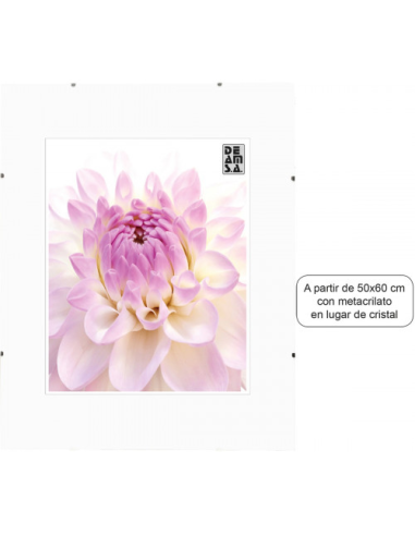 Porta. Clips 20x30 - Compra min. 4 ud