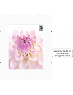 Porta. Clips 21x29,7 cm (A4) - Compra min. 6 ud